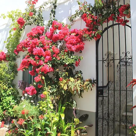 Tatil Evi Casa Magallanes Conil